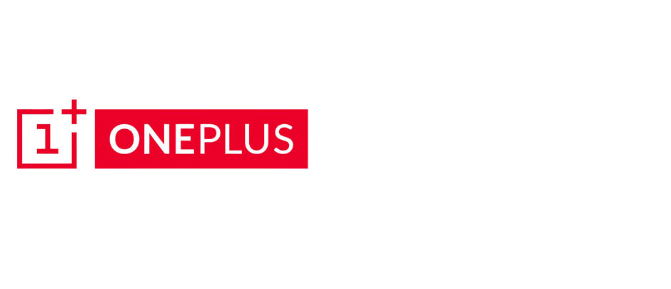 OnePlus 13 Mini
