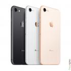 Apple iPhone 8 2/256Gb