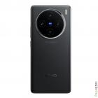 Vivo X100