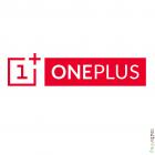 OnePlus 13 Mini